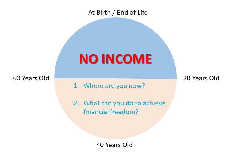 Life Cycle