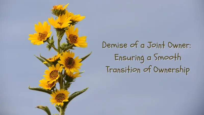 Demise of a Joint Owner Ensuring a Smooth Transition of HDB Ownership: Retain Your HDB Flat After Joint Owner Passed On.