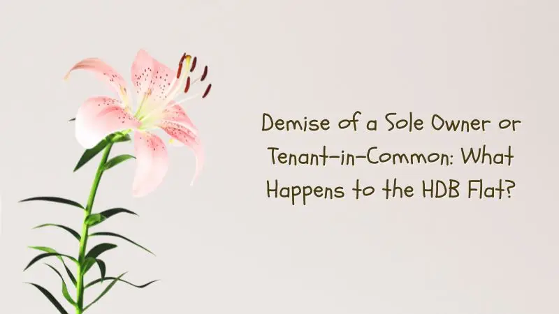 Demise of a Sole Owner or Tenant-in-Common What Happens to the HDB Flat. Retain HDB Flat After Sole Owner or Tenant-in-Common Passed On.