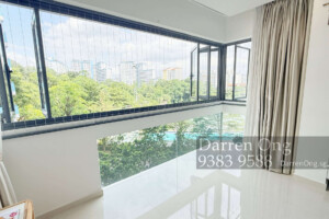 543 Jelapang Road HDB Executive Mansionette Fully Renovated For Sale - Balcony Area 543 Jelapang Road HDB Executive Mansionette Fully Renovated For Sale - Balcony Area