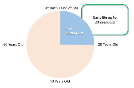 Human Life Cycle Phase 1